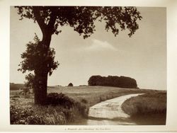 Slawischer Ringwall "Die Oldenburg" bei Neu Horst, © Willi Birker